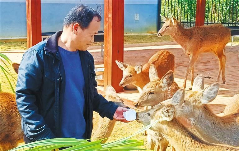 發展產業調研】林下生金AG真人app【高質量(圖2)